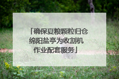 确保夏粮颗粒归仓 绵阳盐亭为收割机作业配套服务