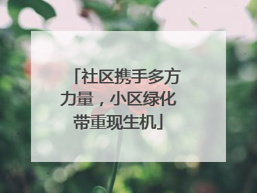 社区携手多方力量，小区绿化带重现生机