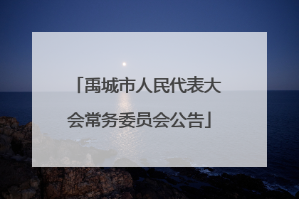 禹城市人民代表大会常务委员会公告