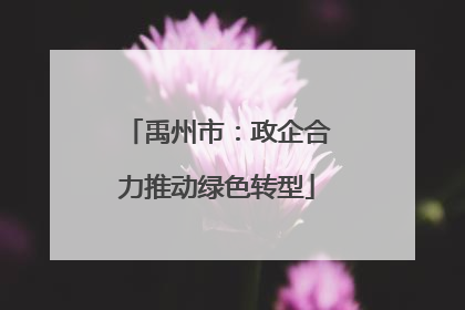 禹州市：政企合力推动绿色转型