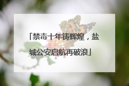 禁毒十年铸辉煌，盐城公安启航再破浪