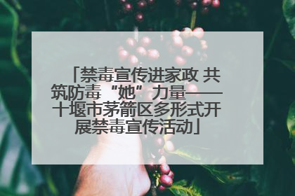 禁毒宣传进家政 共筑防毒“她”力量——十堰市茅箭区多形式开展禁毒宣传活动