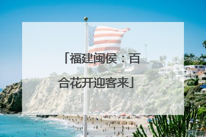 福建闽侯：百合花开迎客来