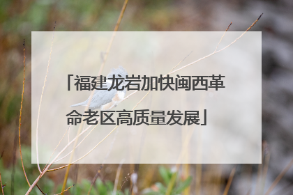 福建龙岩加快闽西革命老区高质量发展