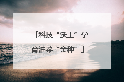 科技“沃土”孕育油菜“金种”