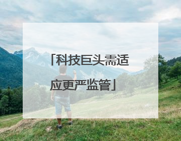 科技巨头需适应更严监管