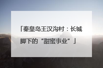 秦皇岛王汉沟村：长城脚下的“甜蜜事业”