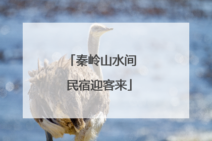 秦岭山水间 民宿迎客来