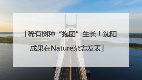 稀有树种“抱团”生长！沈阳成果在Nature杂志发表