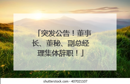 突发公告！董事长、董秘、副总经理集体辞职！