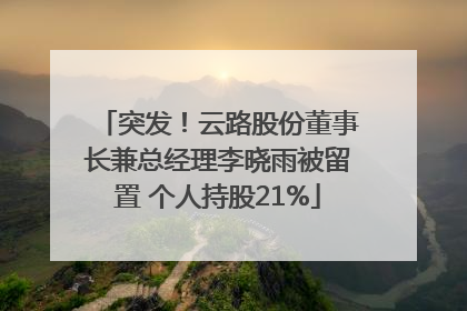 突发！云路股份董事长兼总经理李晓雨被留置 个人持股21%
