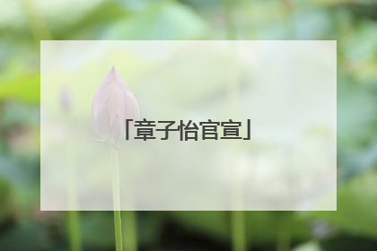 章子怡官宣