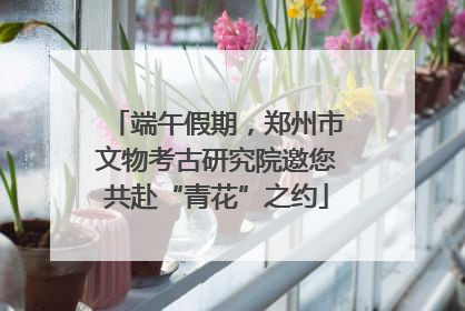 端午假期，郑州市文物考古研究院邀您共赴“青花”之约