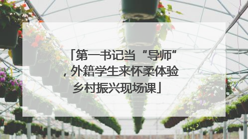 第一书记当“导师”，外籍学生来怀柔体验乡村振兴现场课