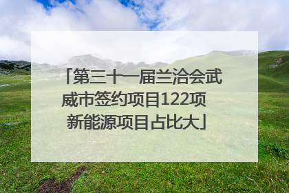 第三十一届兰洽会武威市签约项目122项 新能源项目占比大