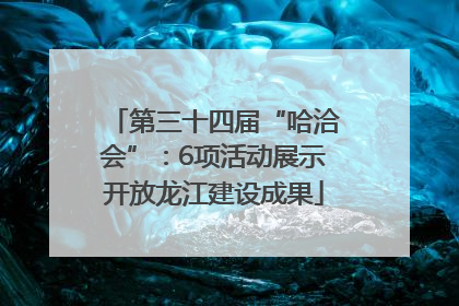 第三十四届“哈洽会”：6项活动展示开放龙江建设成果