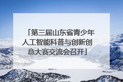 第三届山东省青少年人工智能科普与创新创意大赛交流会召开