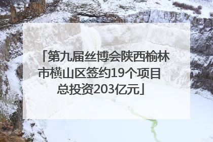 第九届丝博会陕西榆林市横山区签约19个项目 总投资203亿元