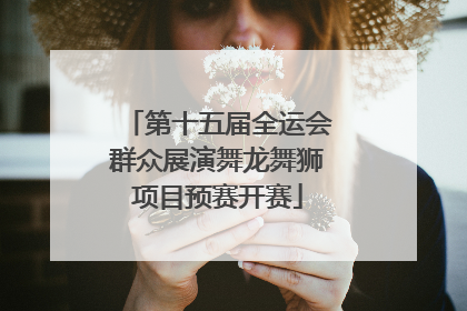 第十五届全运会群众展演舞龙舞狮项目预赛开赛