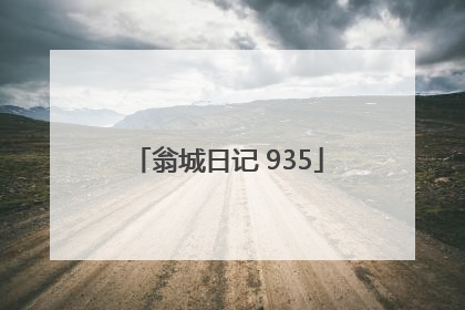 翁城日记 935