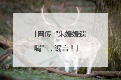 网传“朱媛媛遗嘱”，谣言！