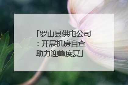 罗山县供电公司：开展机房自查 助力迎峰度夏