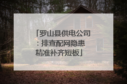 罗山县供电公司：排查配网隐患 精准补齐短板