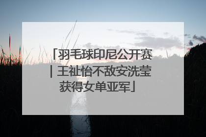 羽毛球印尼公开赛｜王祉怡不敌安洗莹 获得女单亚军
