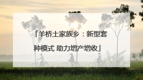 羊桥土家族乡：新型套种模式 助力增产增收