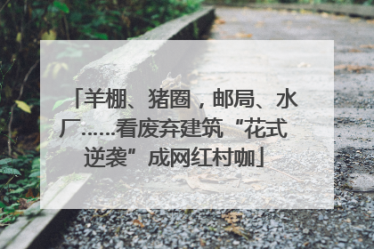 羊棚、猪圈，邮局、水厂……看废弃建筑“花式逆袭”成网红村咖