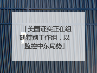 美国证实正在组建特别工作组，以监控中东局势