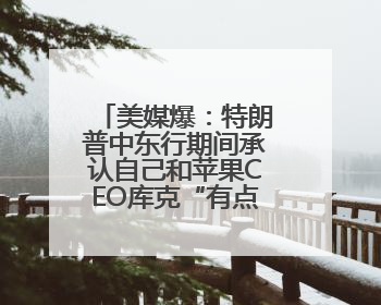 美媒爆：特朗普中东行期间承认自己和苹果CEO库克“有点小问题”