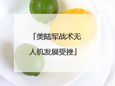 美陆军战术无人机发展受挫