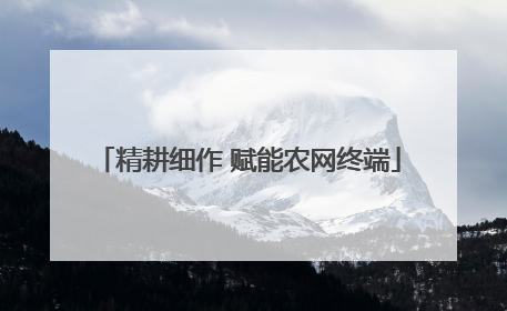 精耕细作 赋能农网终端