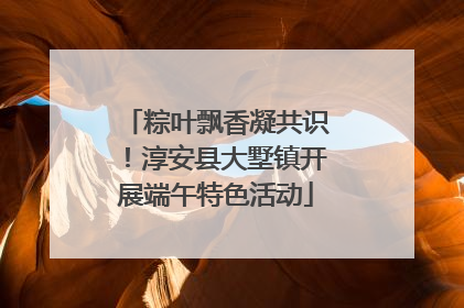 粽叶飘香凝共识！淳安县大墅镇开展端午特色活动