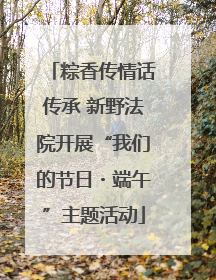 粽香传情话传承 新野法院开展“我们的节日・端午”主题活动