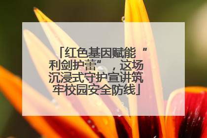 红色基因赋能“利剑护蕾”，这场沉浸式守护宣讲筑牢校园安全防线