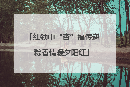 红领巾“杏”福传递 粽香情暖夕阳红