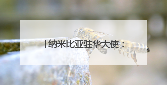 纳米比亚驻华大使：中国经验表明，现代化不光是经济腾飞