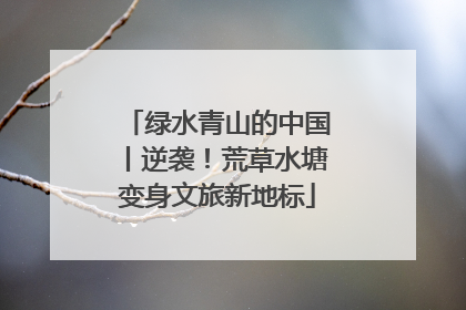 绿水青山的中国丨逆袭！荒草水塘变身文旅新地标