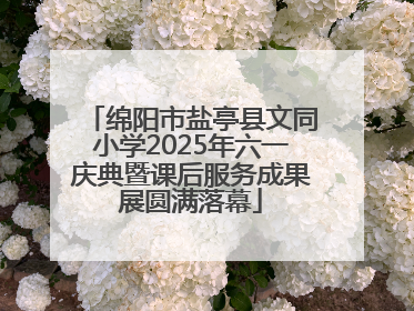 绵阳市盐亭县文同小学2025年六一庆典暨课后服务成果展圆满落幕