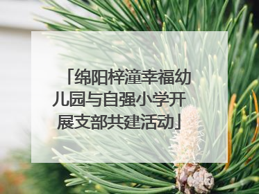 绵阳梓潼幸福幼儿园与自强小学开展支部共建活动