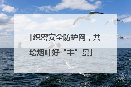 织密安全防护网，共绘烟叶好“丰”景