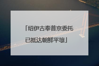 绍伊古奉普京委托已抵达朝鲜平壤
