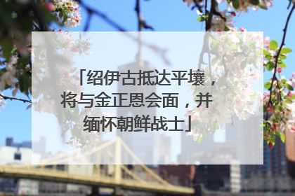 绍伊古抵达平壤，将与金正恩会面，并缅怀朝鲜战士