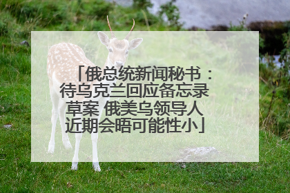 俄总统新闻秘书：待乌克兰回应备忘录草案 俄美乌领导人近期会晤可能性小