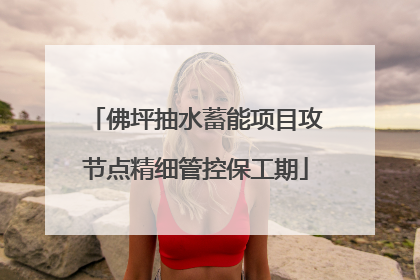 佛坪抽水蓄能项目攻节点精细管控保工期