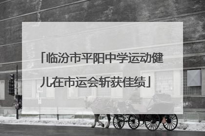 临汾市平阳中学运动健儿在市运会斩获佳绩