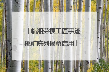 临湘劳模工匠事迹桃矿陈列揭幕启用