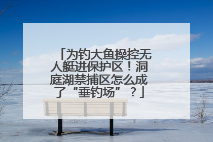 为钓大鱼操控无人艇进保护区！洞庭湖禁捕区怎么成了“垂钓场”？